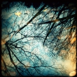 winter05.JPG