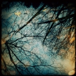 winter05.JPG