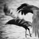 IMG_0777.jpg