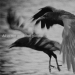 IMG_0777.jpg