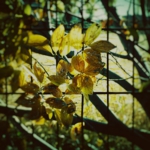 winter077.jpg